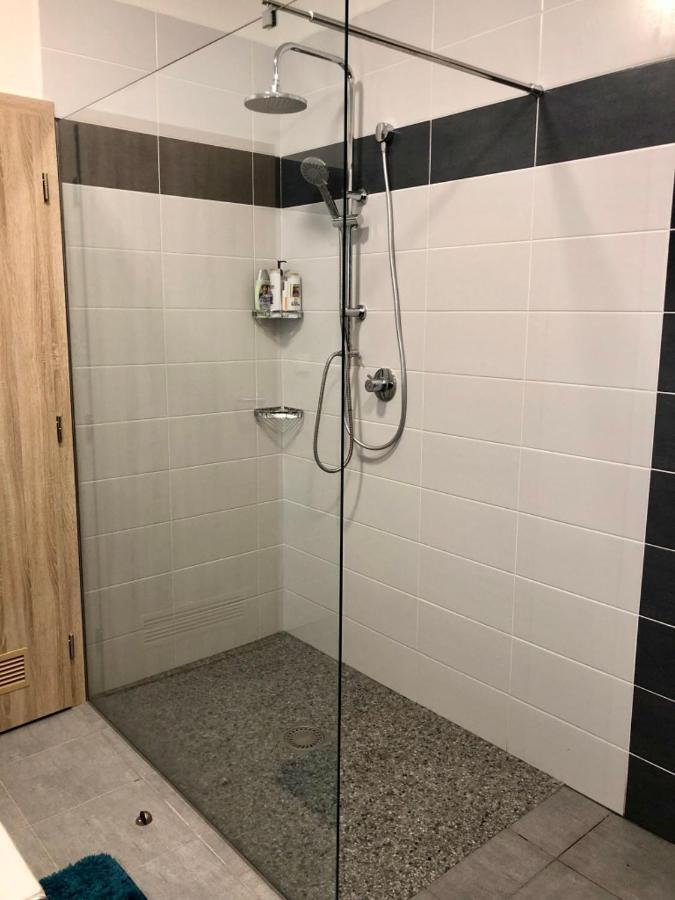Apartman Lipno G11 Frymburk Dış mekan fotoğraf
